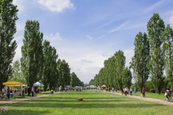 Il Viale e la Villa